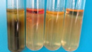 Sulfur Reduction Test – Principle, Purpose, Procedure, Result