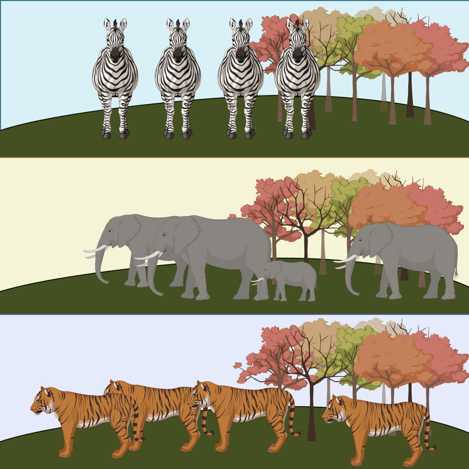 Levels Of Ecological Organization Definition Examples Biology
