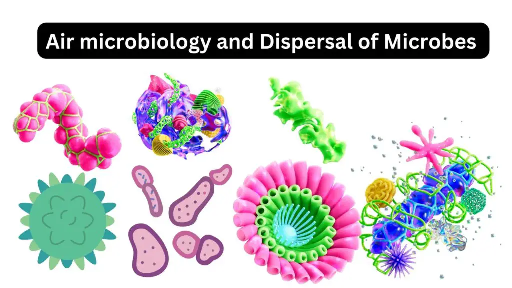 Bacteria In Air