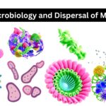 Air microbiology and Dispersal of Microbes 