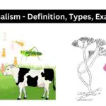 Amensalism - Definition, Types, Examples