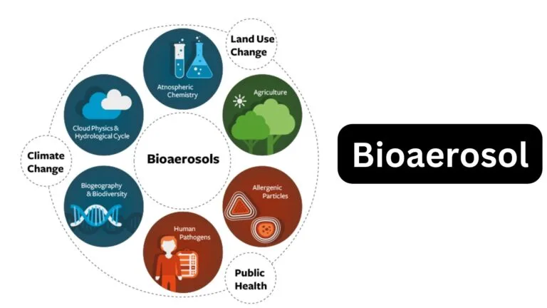 Bioaerosol - Definition, Types, Collection, Transmission