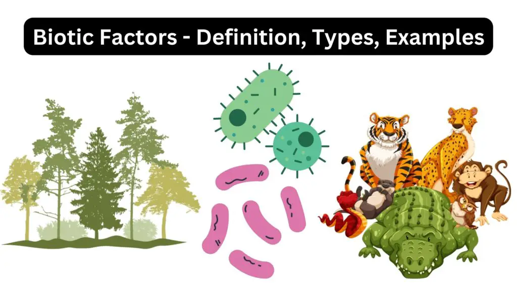 Biotic Factors - Definition, Types, Examples - Biology Notes Online