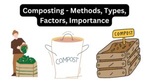 Composting – Methods, Types, Factors, Importance