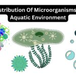 Distribution Of Microorganisms In Aquatic Environment