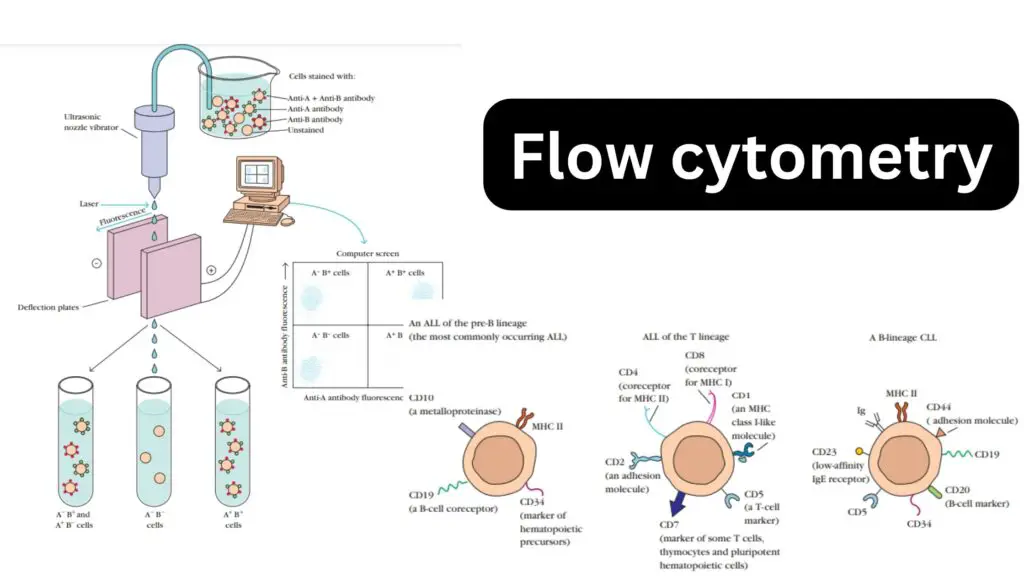 Flow Cytometry - Principle, Process, Uses - Biology Notes Online