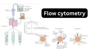 Flow Cytometry – Principle, Process, Uses