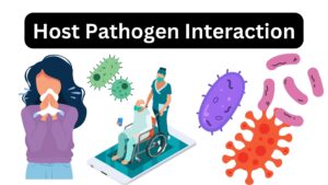 Host Pathogen Interaction