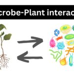 Microbe-Plant interaction - Types, Examples