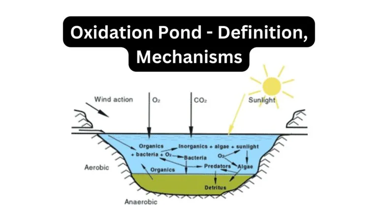 Oxidation Pond - Definition, Mechanisms