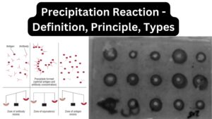 Precipitation Reaction – Definition, Principle, Types