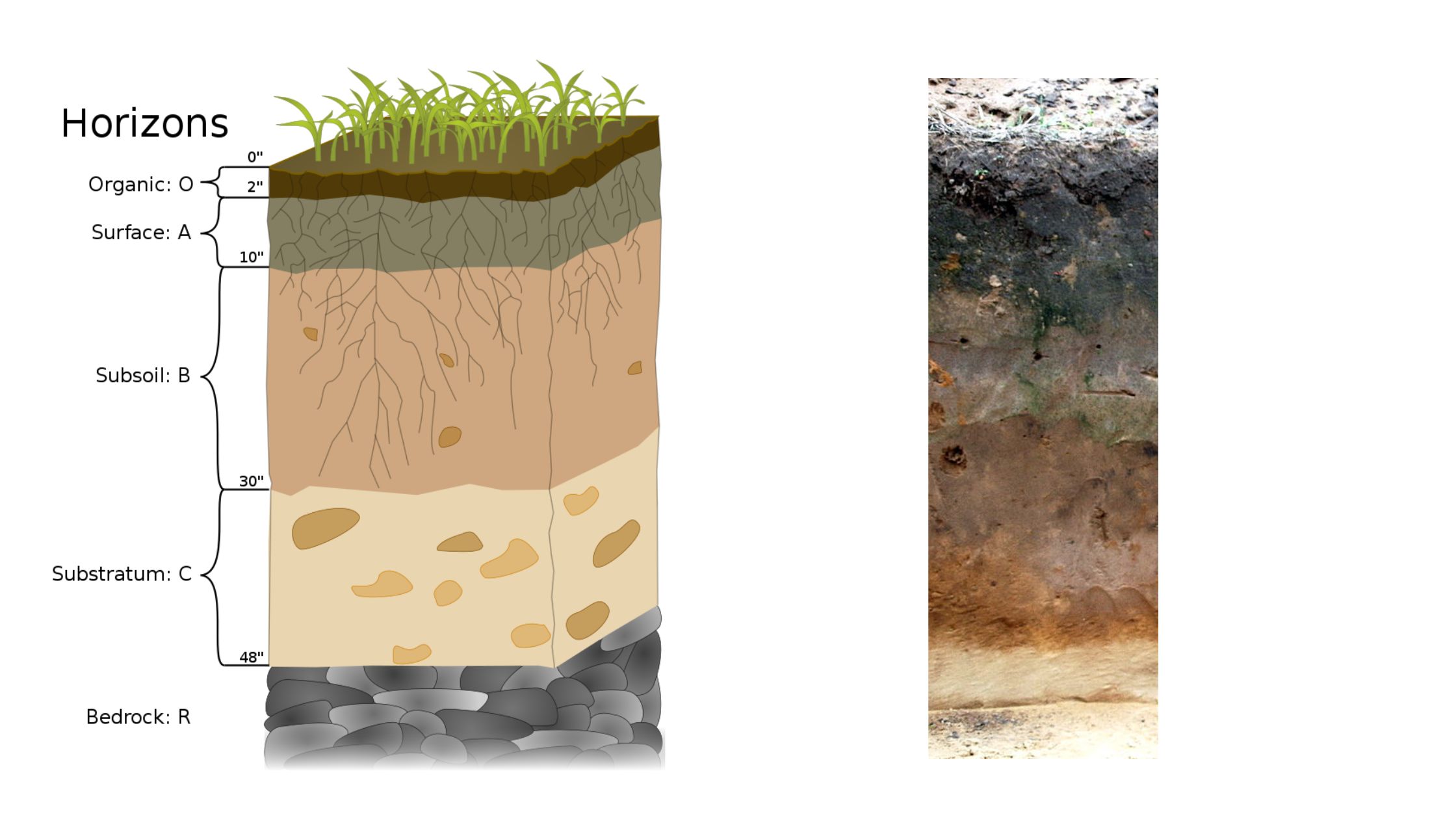 Soil Horizons 4 3 Soil Profiles And Horizons Soil Genesis And Soil Horizons 4 3 Soil Profiles And Horizons Soil Genesis And
