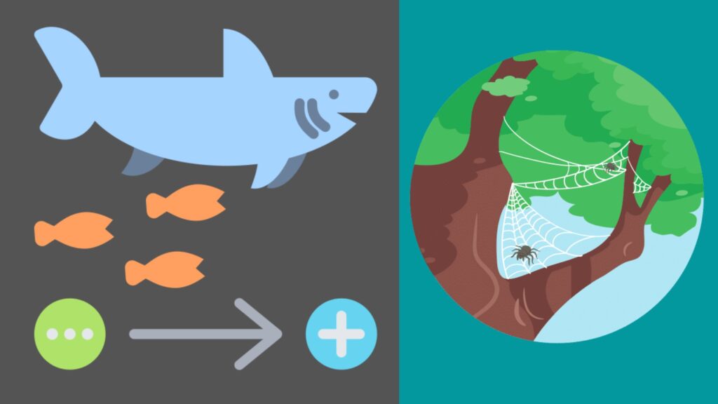 Commensalism definition types example biology notes online