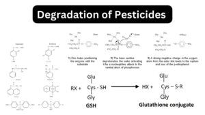Degradation of Pesticides – Types, Mechanisms