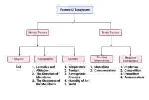 Factors Of Ecosystem – Definition, Types