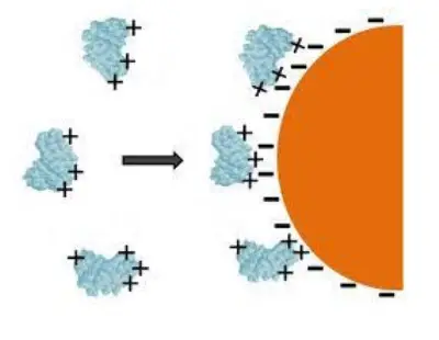 Adsorption