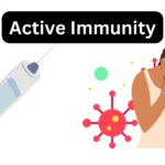 Active Immunity - Definition, Characteristics, Types, Examples