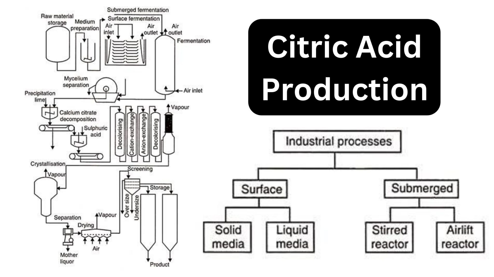 Acetic acid production biology notes online