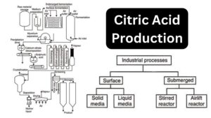Citric Acid Production