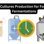 Cultures Production for Food Fermentations