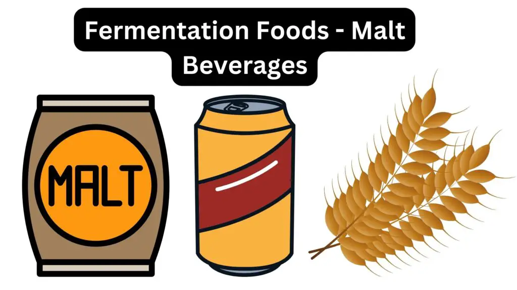 Fermentation Foods - Malt Beverages - Biology Notes Online