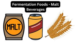 Fermentation Foods – Malt Beverages