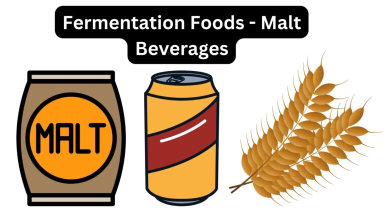 Fermentation Foods - Malt Beverages