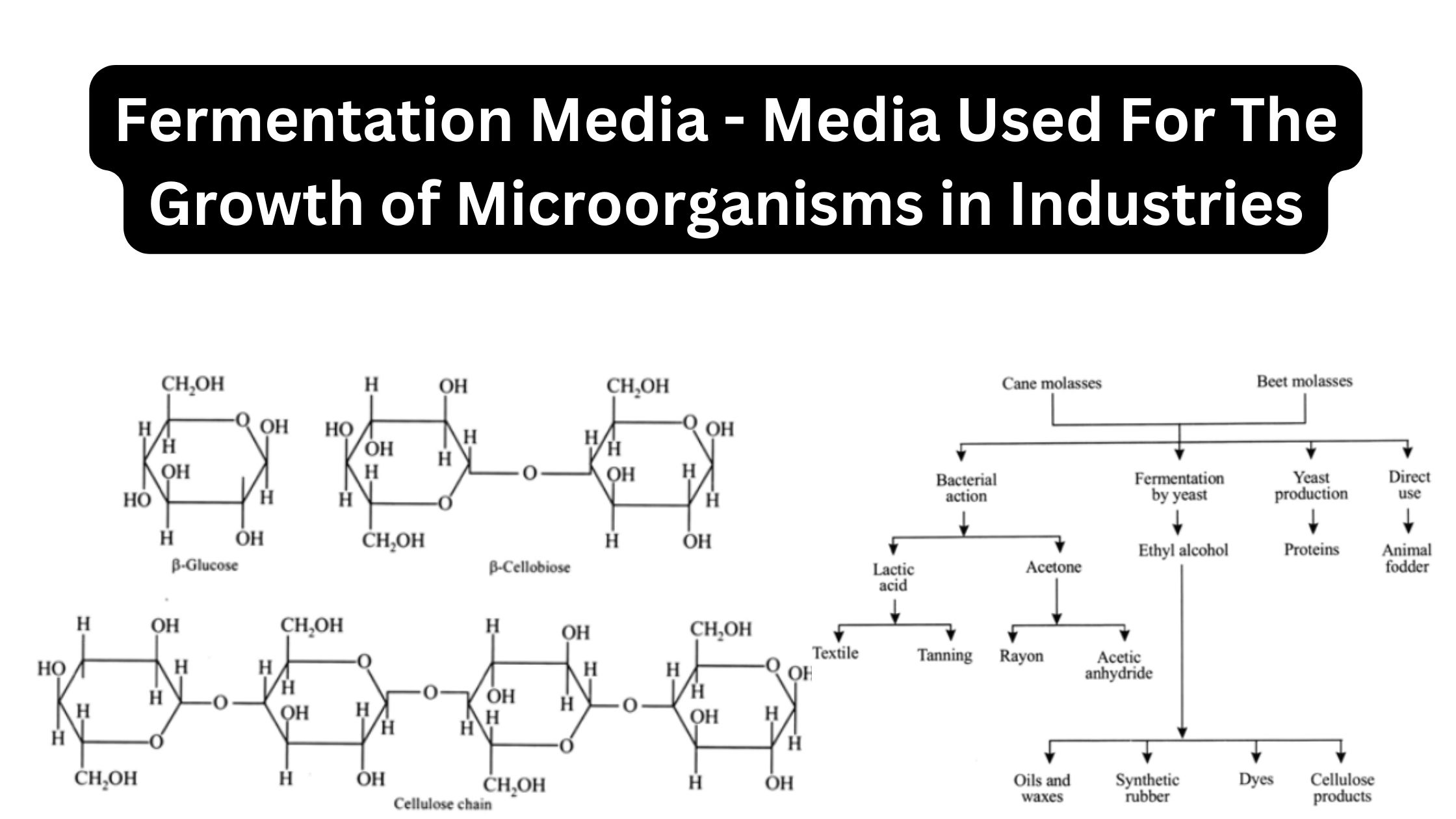 Fermentation Media - Media Used For The Growth of Microorganisms in Industries