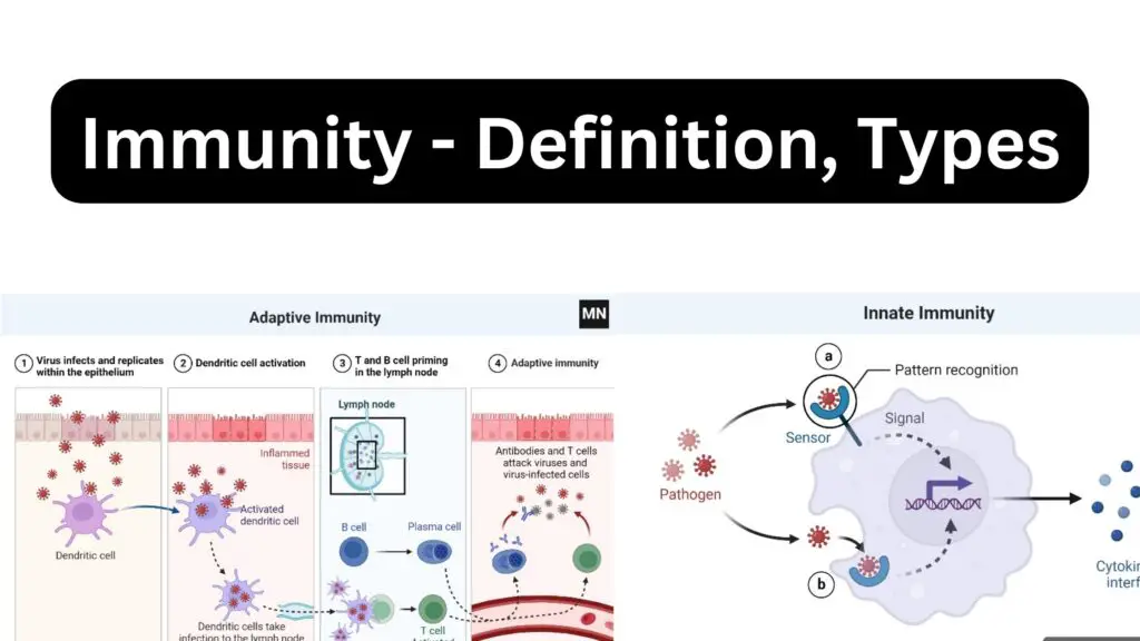 Immunity - Definition, Types, Mechanism, Components, and Immunization ...