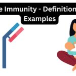 Passive Immunity - Definition, Types, Characteristics, Examples