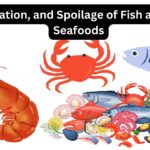 Microbial spoilage of fish and fish products and its preservation