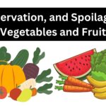 Preservation, and Spoilage of Vegetables and Fruit