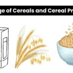 Contamination, Preservation, and Spoilage of Cereals and Cereal Products