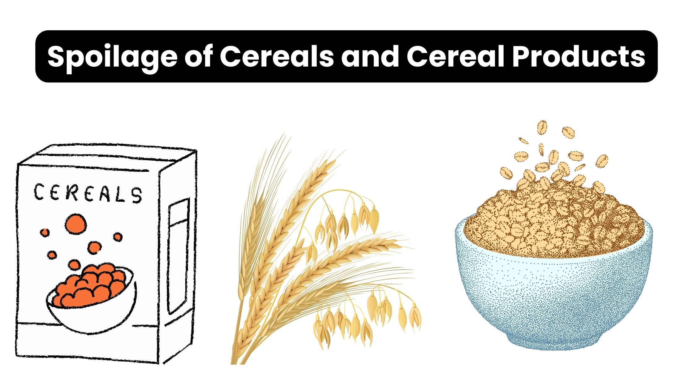 Contamination, Preservation, and Spoilage of Cereals and Cereal Products