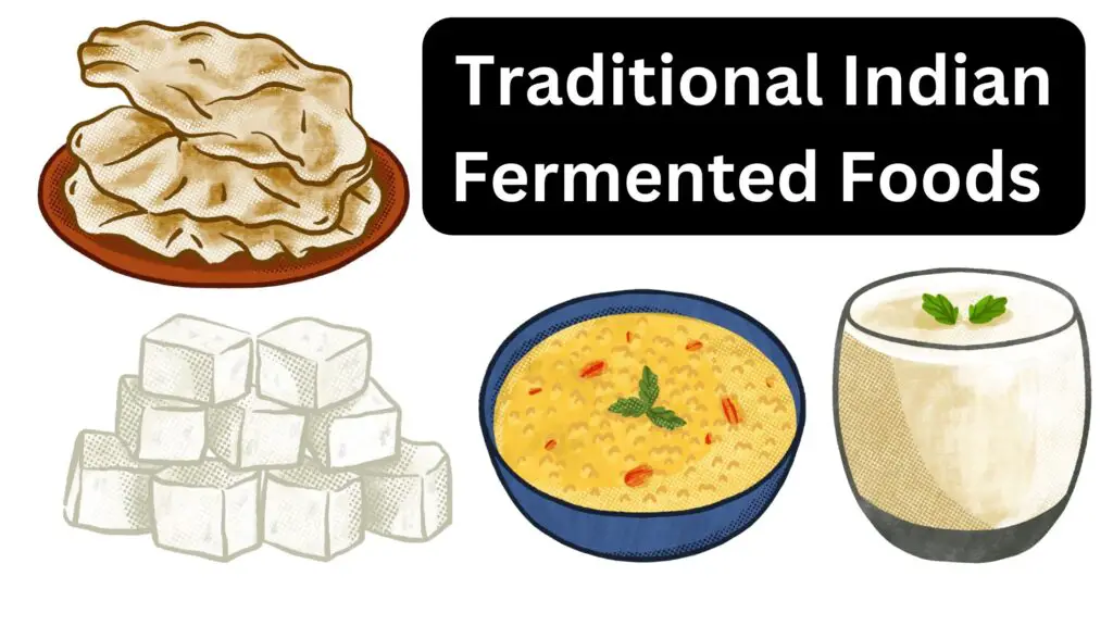 Traditional Indian Fermented Foods - Biology Notes Online