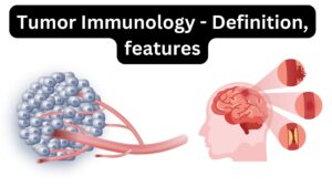 Tumor Immunology – Definition, features