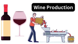 Wine Production