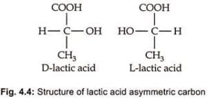 Lactic Acid Production - Biology Notes Online