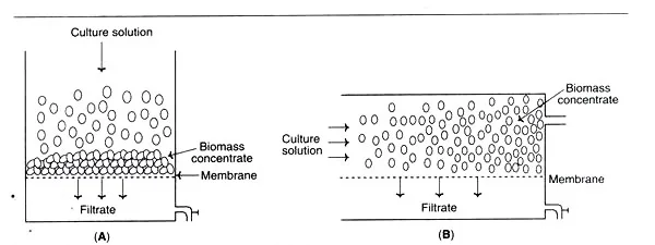 Downstream Processing Steps 3 Membrane Filters