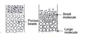 Downstream Processing Steps 7 Gel-filtration chromatography