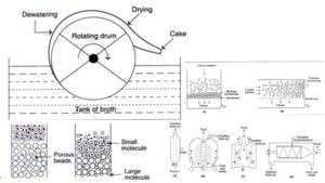 Downstream Processing Steps