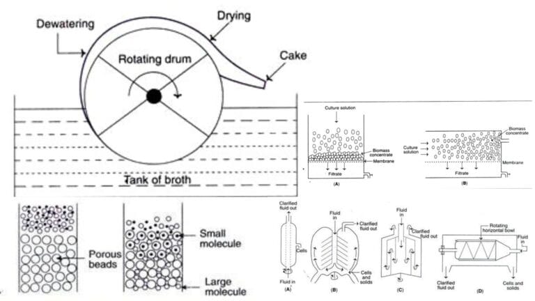 Downstream Processing Steps