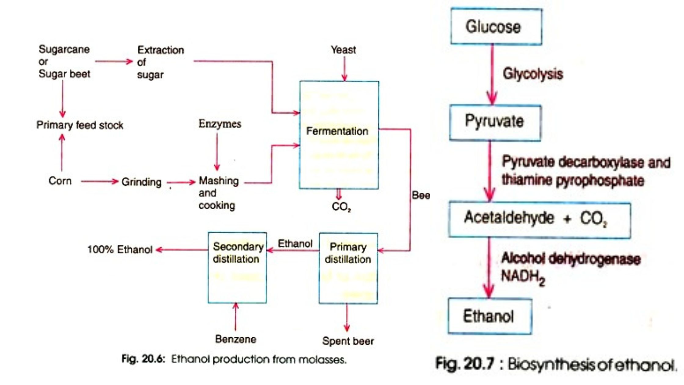 Ethanol Production