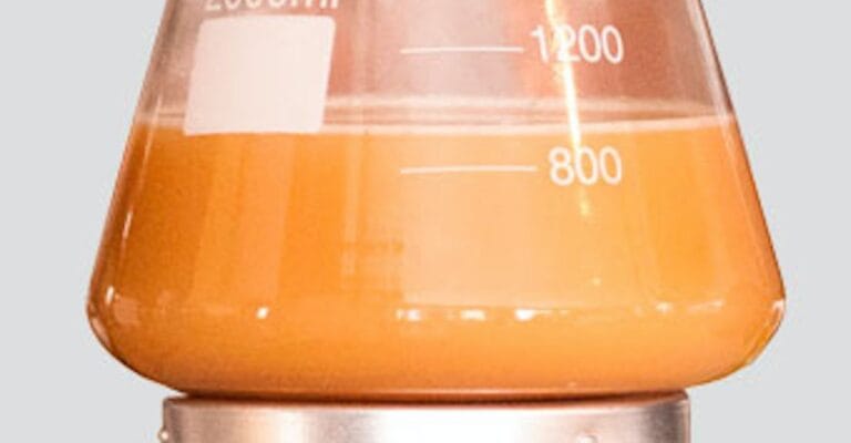 Yeasts Starter Cultures  