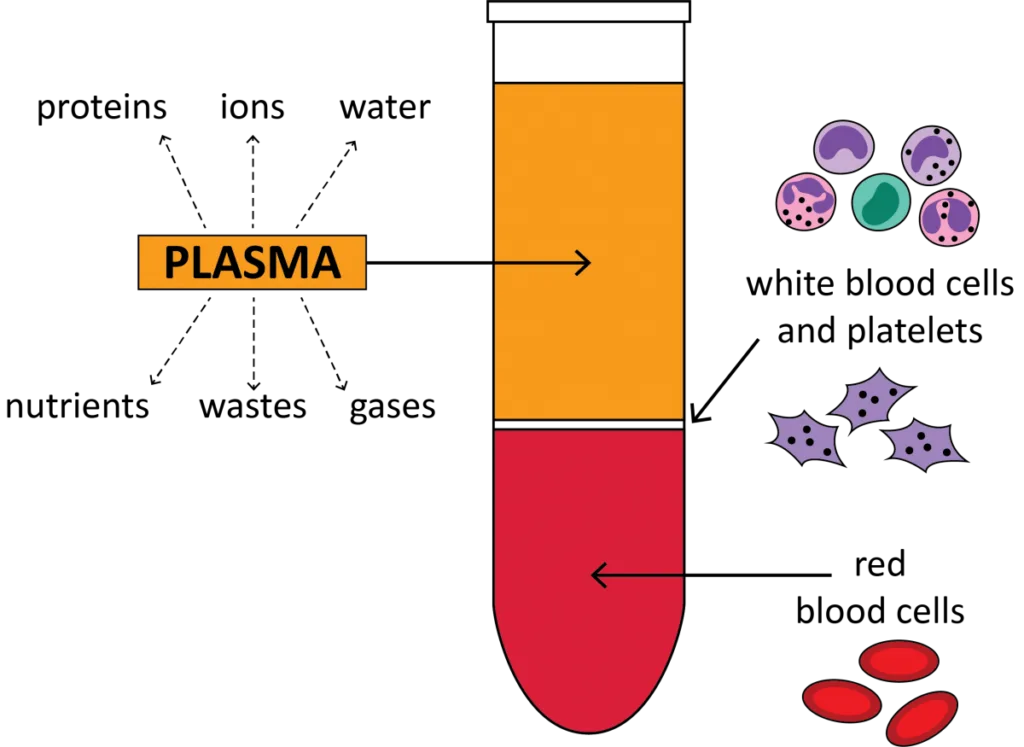 Centrifuge Blood Sample - Purpose, Steps, Techniques 1 Centrifuge Blood Sample - Purpose, Steps, Techniques