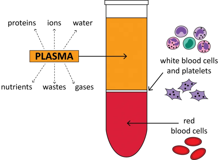 Centrifuge Blood Sample - Purpose, Steps, Techniques