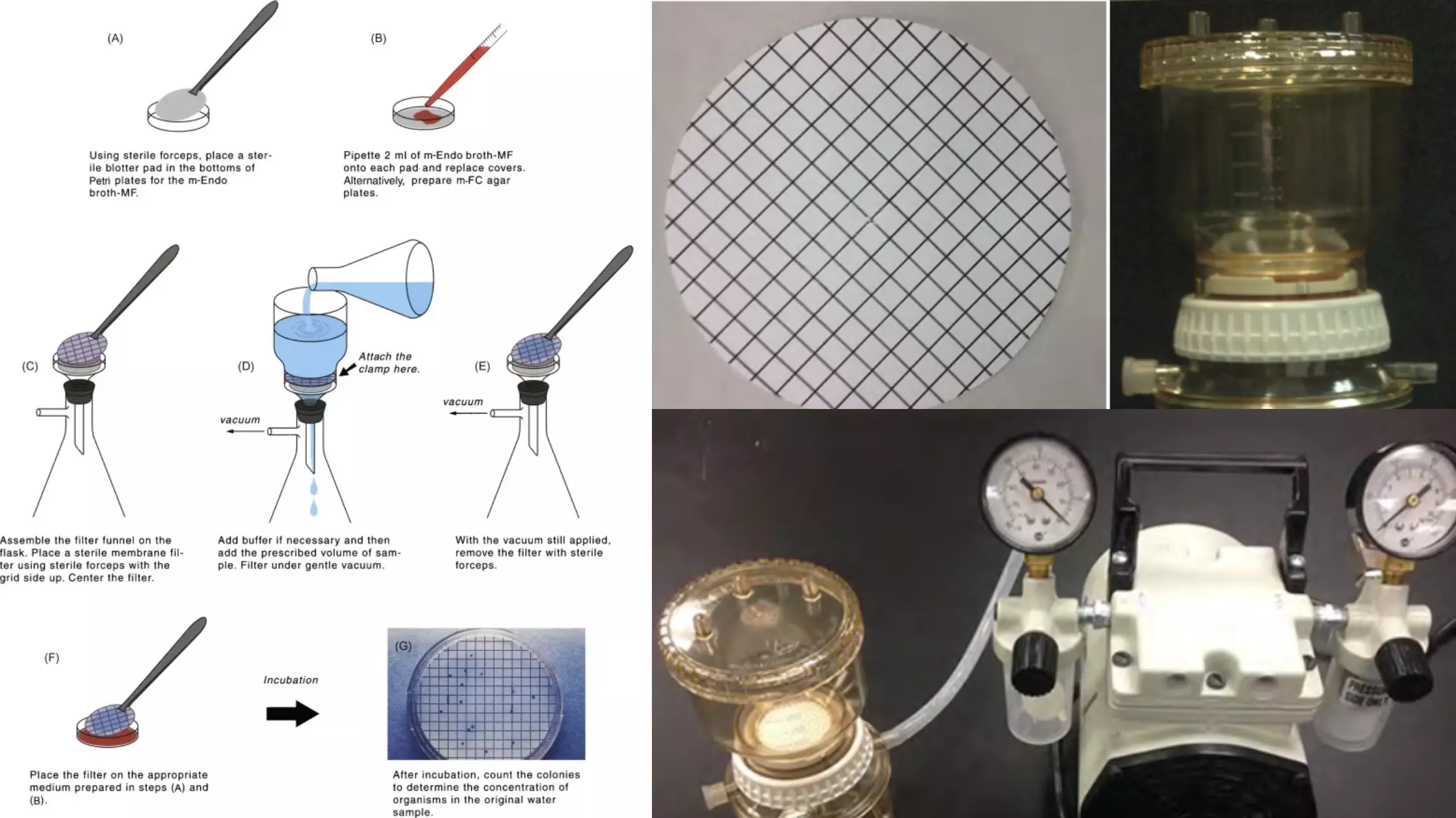 Bacteriological Examination of Waters by Using Membrane Filtration Method