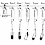 How to Use a Micropipette?