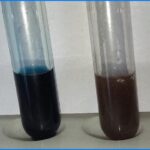 Heat and Acetic Acid Test for Proteinuria - Principle, Procedure, Result, Uses