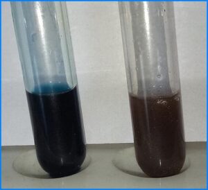Heat and Acetic Acid Test for Proteinuria – Principle, Procedure, Result, Uses